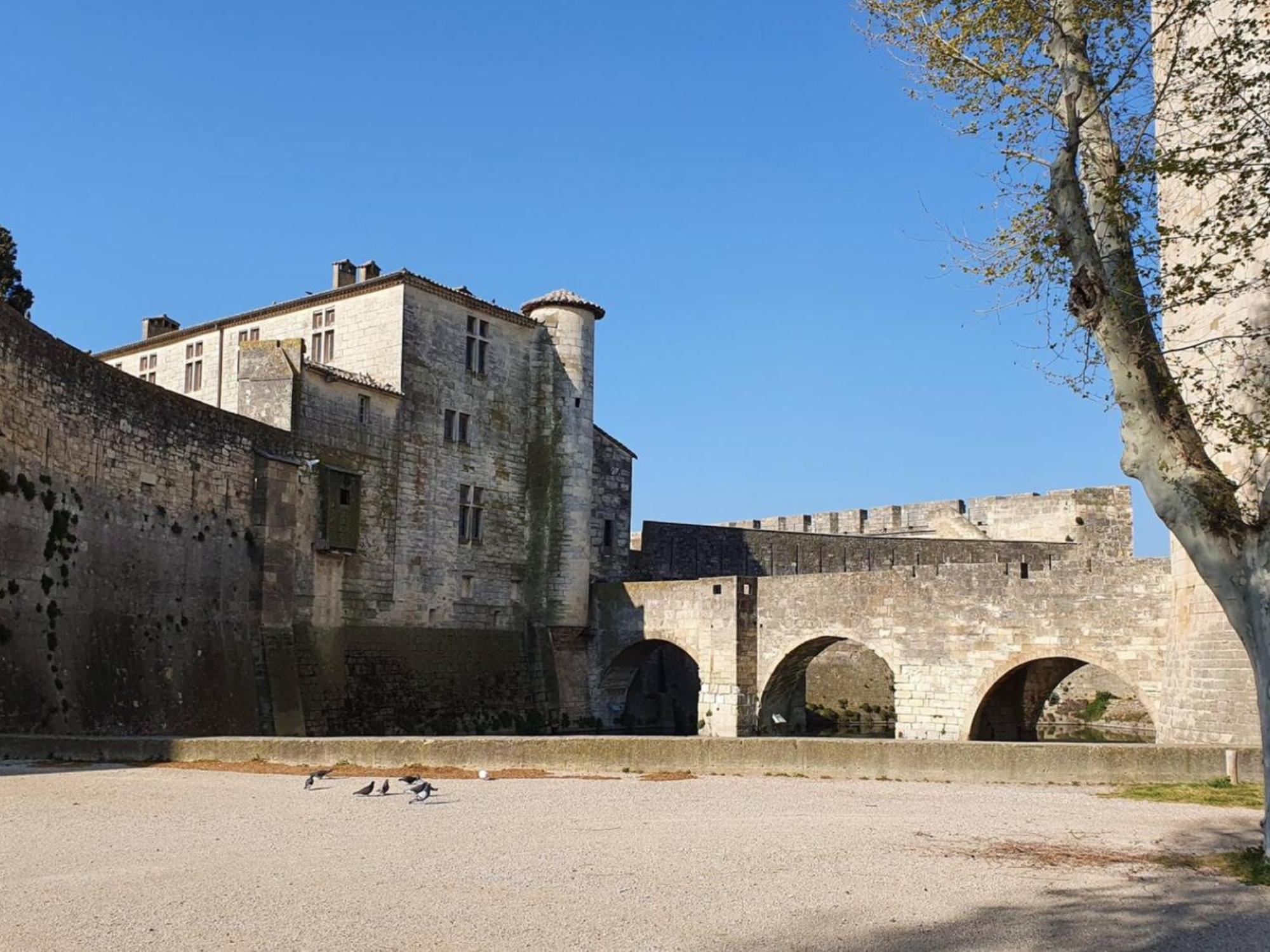 Maison Cosy, 2 Chambres, Adossee Aux Remparts Aigues-Mortes Exteriör bild